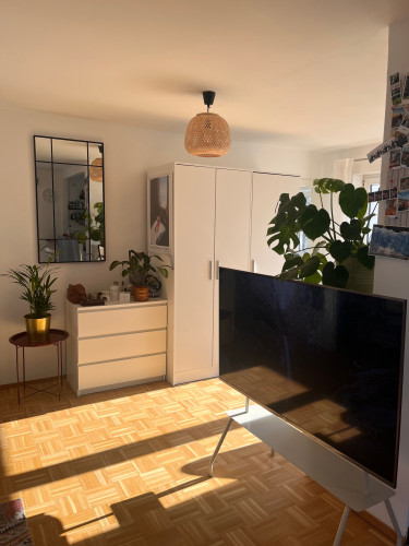 Bright, fully furnished 2-room apartment in Blasewitz, 5 minutes from the University Hospital