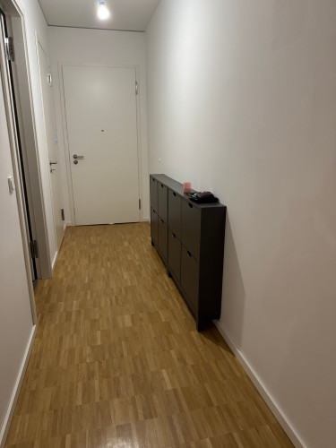 Beautiful 3- room Designer Apartment in Berlin Mitte (80m2) – Fully Furnished + Balcony + Gym + Concierge