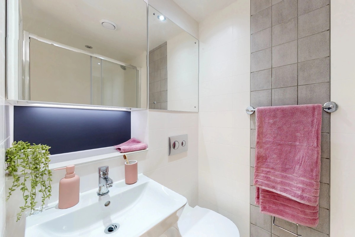  Silver Studio - Standard View | Lower Level  -  Westminster Residence  - Gallery -  6