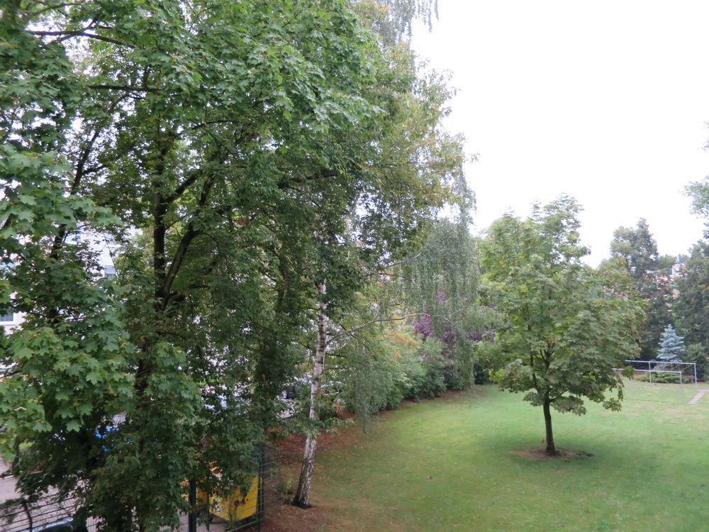  Charming Apartment With Sunny Balcony In Plänterwald  -  Charming apartment with sunny balcony in Plänterwald  - Gallery -  25