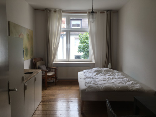 Very lovely apartment with south facing balcony and high ceilings in central location