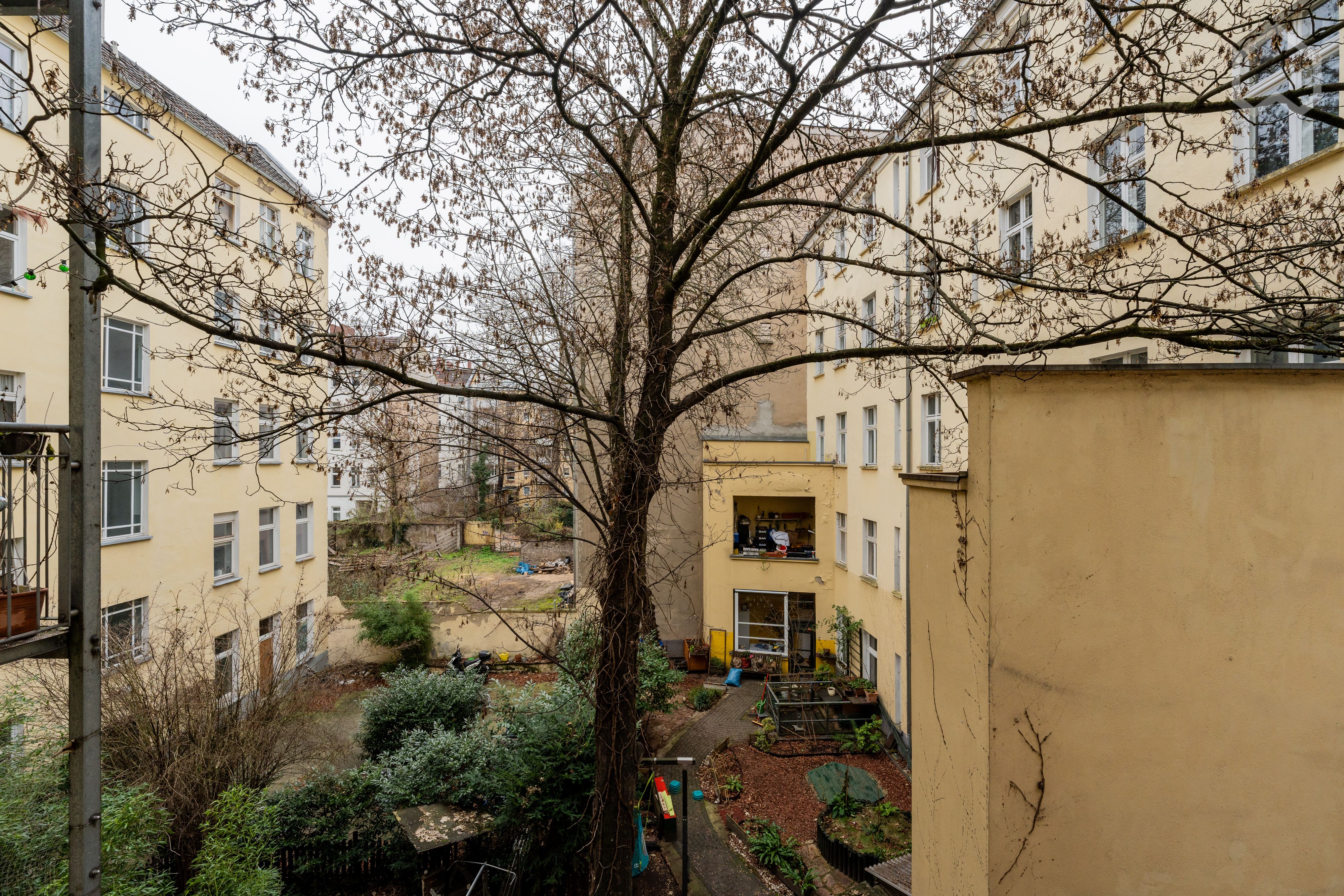  Lovingly Furnished, Cozy Apartment In Friedrichshain  -  Lovingly furnished, cozy apartment in Friedrichshain  - Gallery -  5