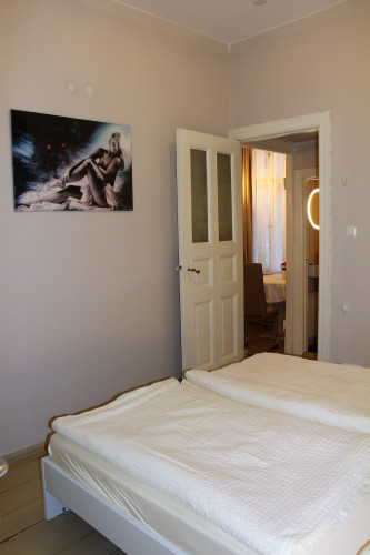 Spacious flat in Moabit  - Gallery -  5