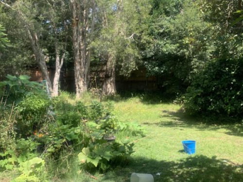 Comfortable house with a garden 