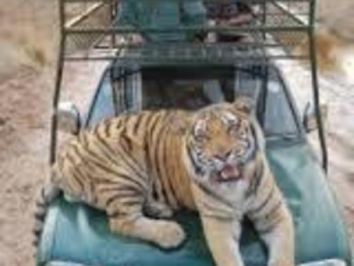 Anker guesthouse - Gallery - 23