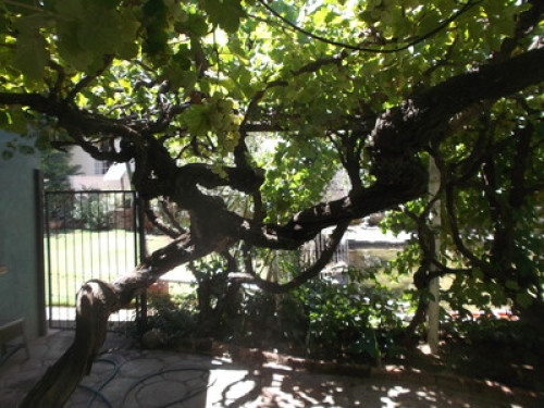 Anker guesthouse - Gallery - 8