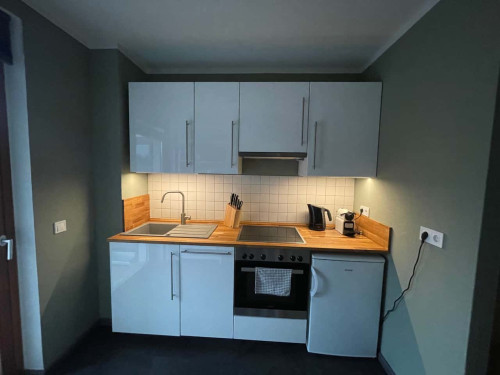 Apartment in Schubertstraße, Dresden for 47 m² with 1 bedroom  - Gallery -  5