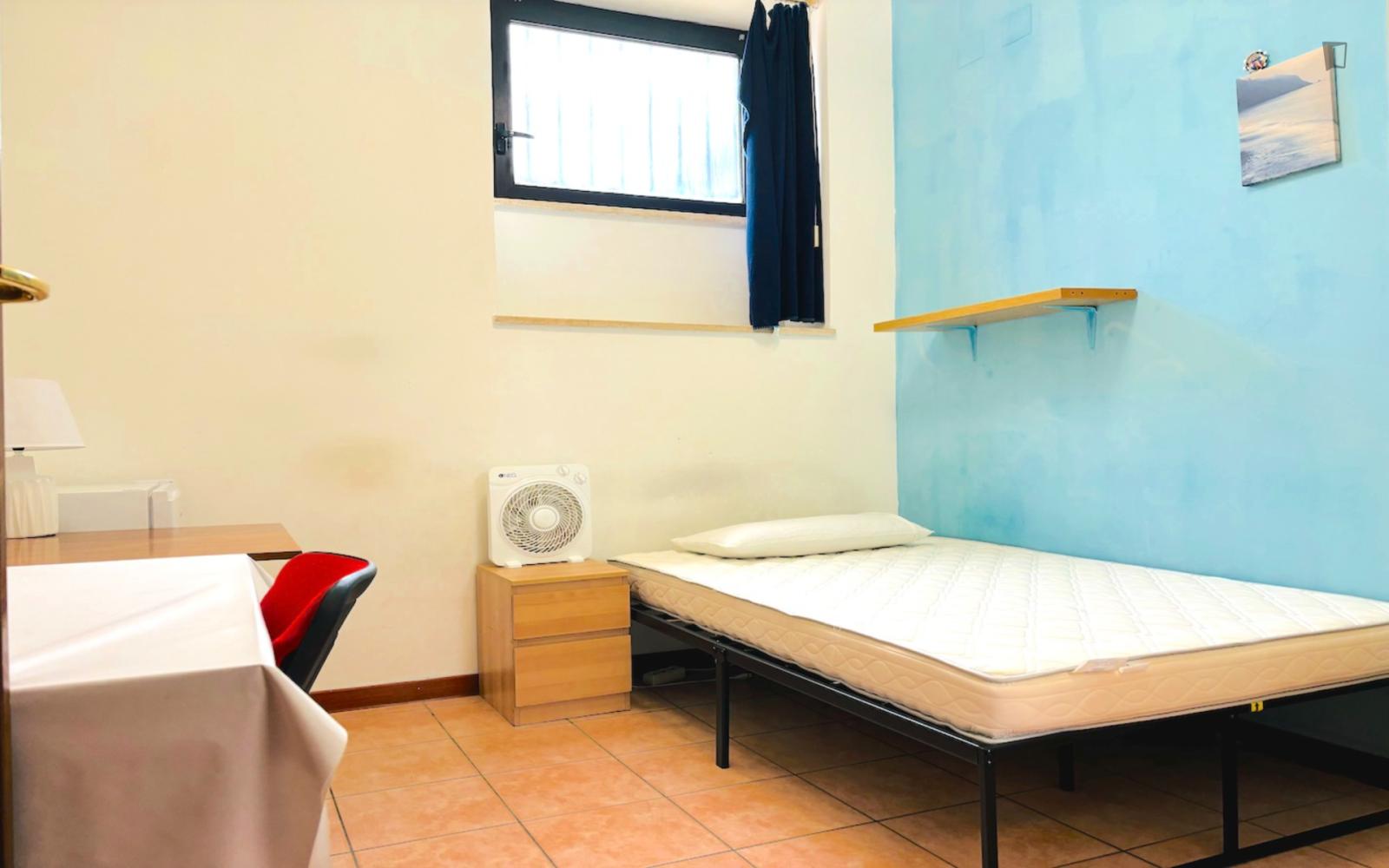  Big Single Bedroom Near Piazza Nicola Cavalieri  -  Big single bedroom near Piazza Nicola Cavalieri  - Gallery -  1