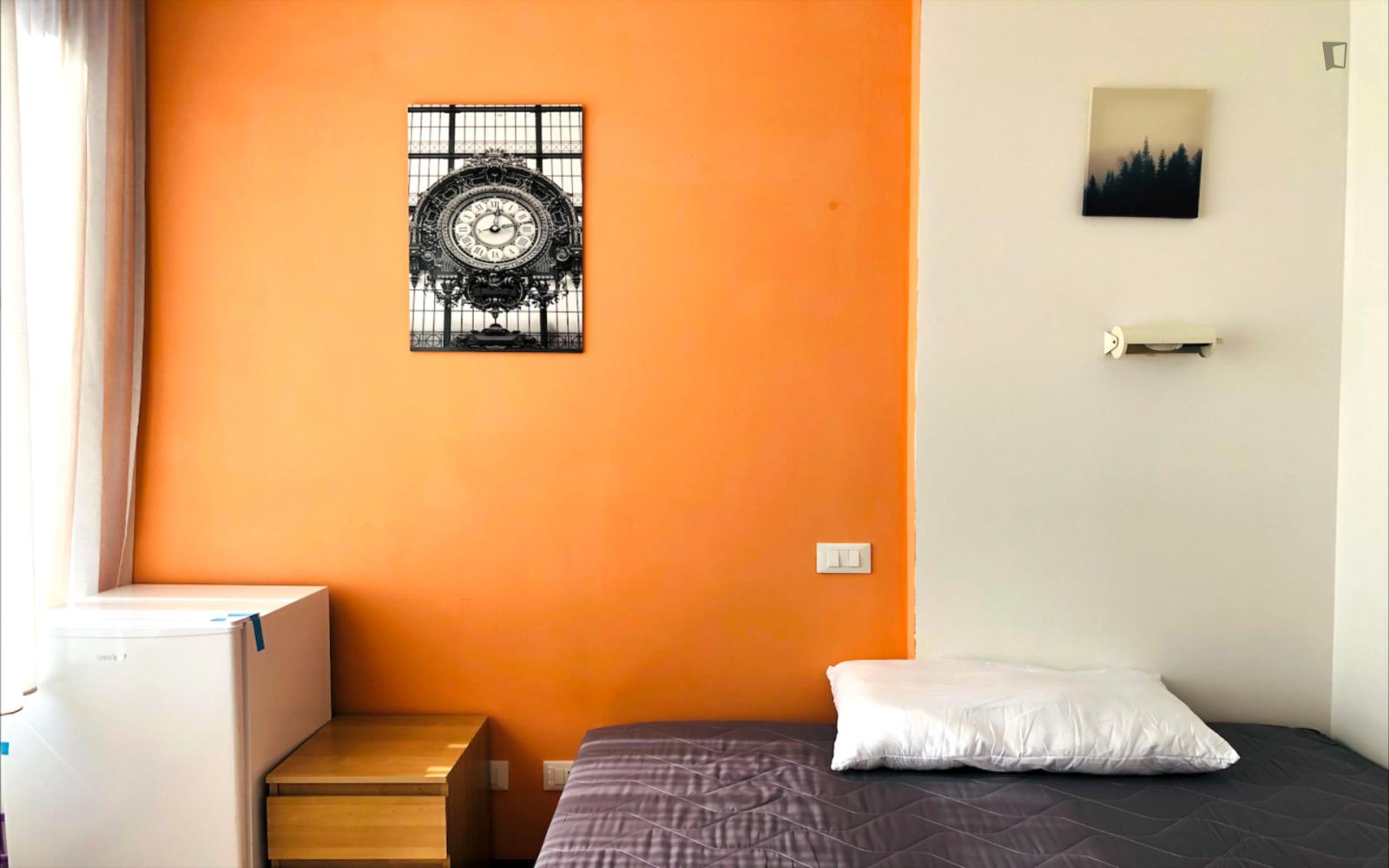  Spacious Double Bedroom Near Piazza Nicola Cavalieri  -  Spacious double bedroom near Piazza Nicola Cavalieri  - Gallery -  1