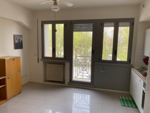 Spacious studio well connected to the city center  - Gallery -  5