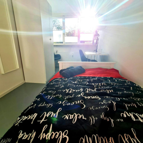 Poppelsdorfer Allee, Bonn  - Gallery -  5