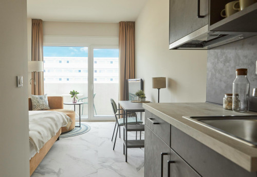 Avenida Rodajos, Pozuelo de Alarcón