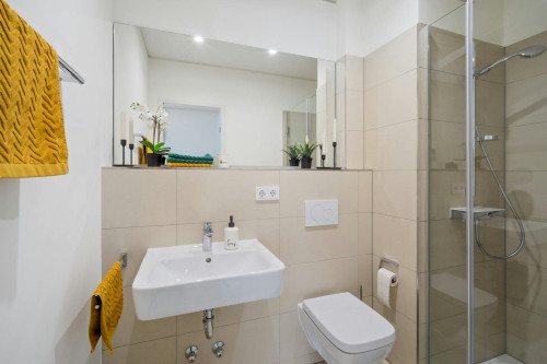 Holzhofgasse, Dresden