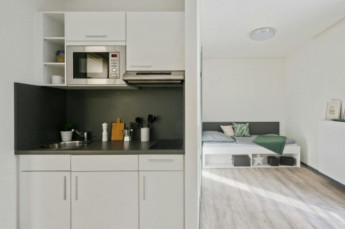 Holzhofgasse, Dresden