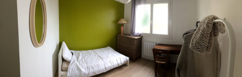 Boulevard Camille Flammarion, Marseille