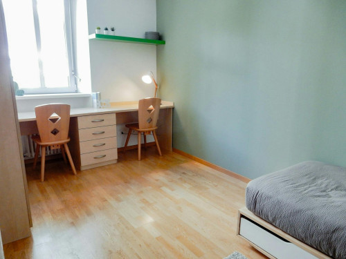 Via Zara, Trento - Gallery - 6