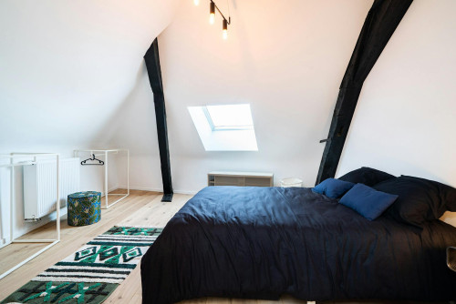 Rue Notre-Dame Débonnaire, Mons