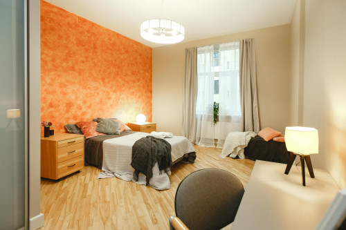 Dzirnavu iela, Riga