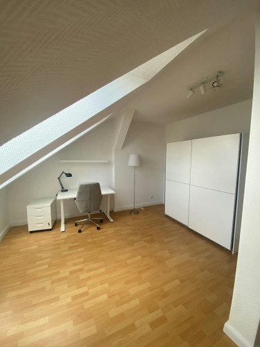 Geschwister-Scholl-Straße, Potsdam