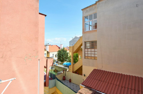 Cosy single room in Penha de França  - Gallery -  5