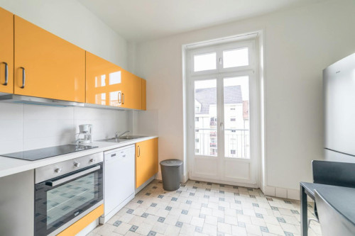 Boulevard Clemenceau, Strasbourg - Gallery - 13