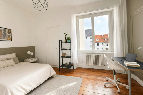 Boulevard Clemenceau, Strasbourg - Gallery - 8