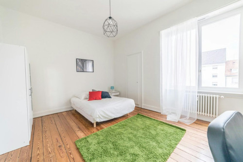 Boulevard Clemenceau, Strasbourg - Gallery - 11