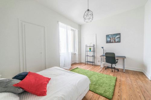 Boulevard Clemenceau, Strasbourg - Gallery - 19