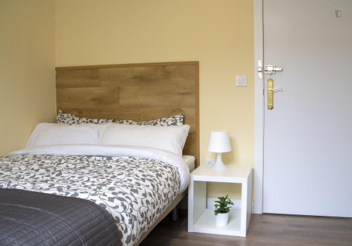 Double bedroom in a 9-bedroom flat close to Campus de Somosaguas