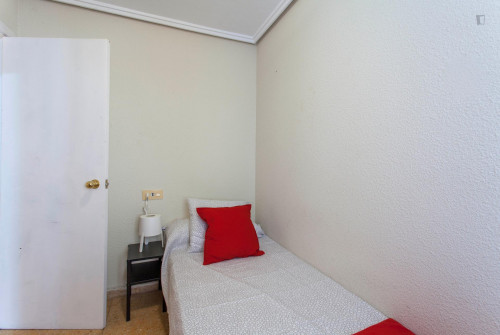 Very neat single bedroom near Facultat d'Economia