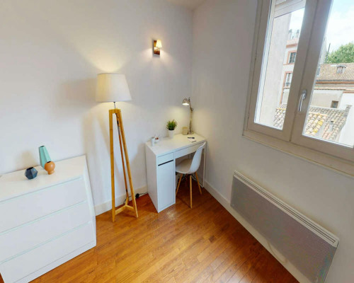 Allée de Brienne, Toulouse