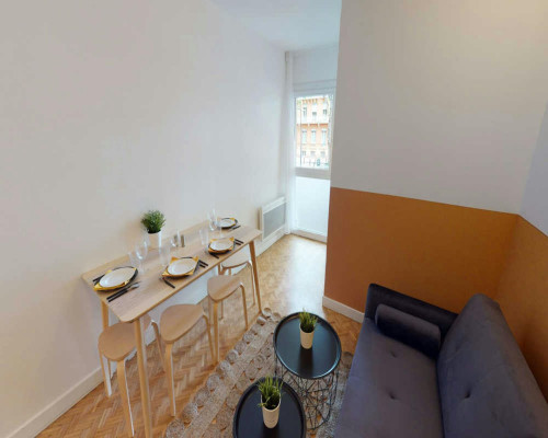 Boulevard d'Arcole, Toulouse - Gallery - 8