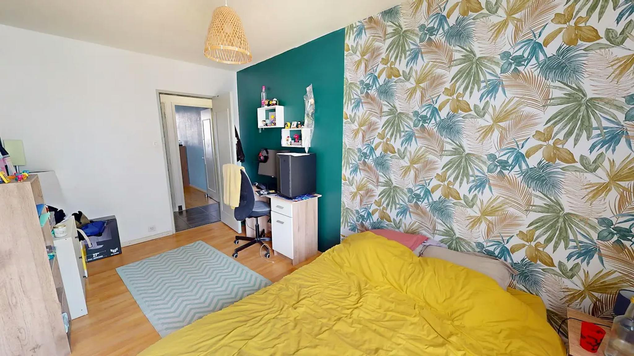  Private Room  -  Avenue Washington, Grenoble  - Gallery -  1