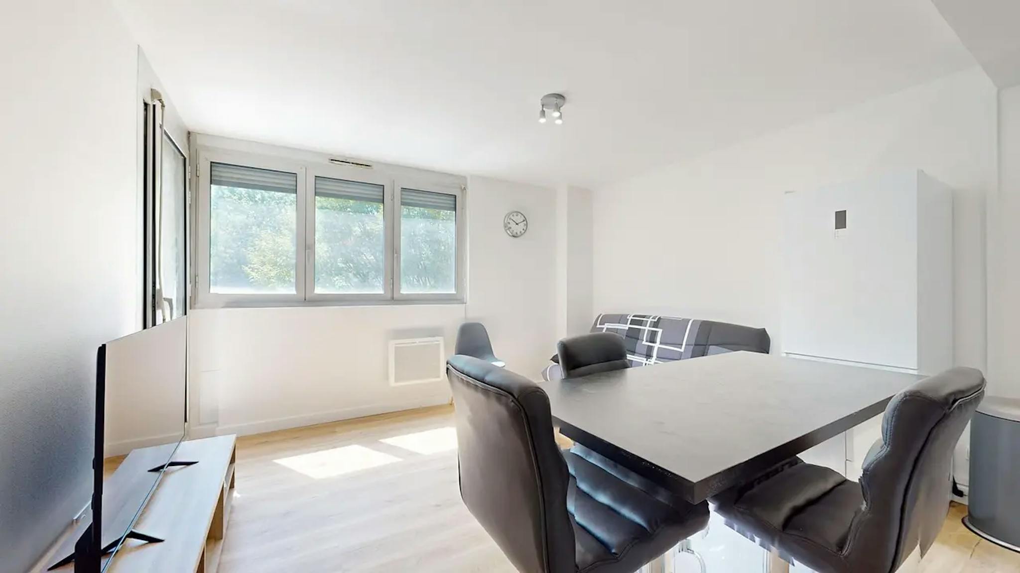  Private Room  -  Rue de Bruxelles, Toulouse  - Gallery -  1