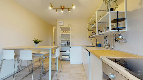 Avenue Jean Perrot, Grenoble - Gallery - 6
