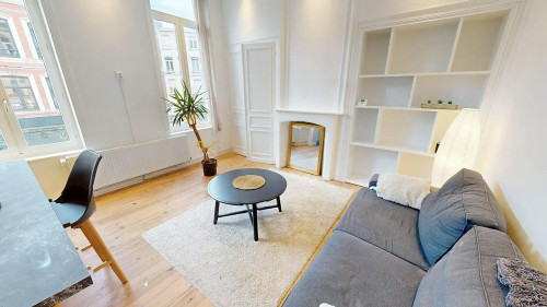 Rue des Postes, Lille  - Gallery -  5