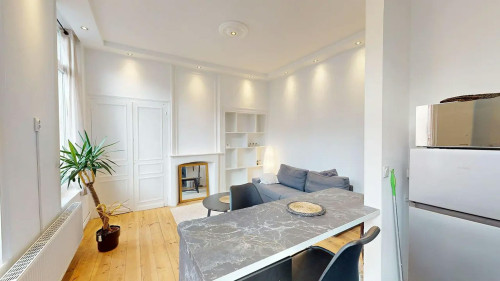 Rue des Postes, Lille