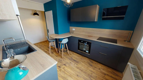 Rue Dupleix, Grenoble - Gallery - 9