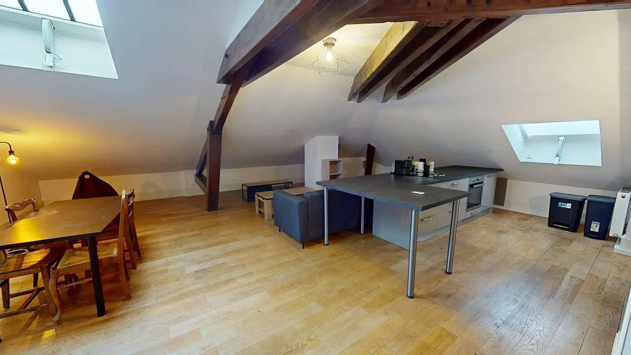  Entire Place  -  Place Henri Dunant, Angoulême  - Gallery -  1