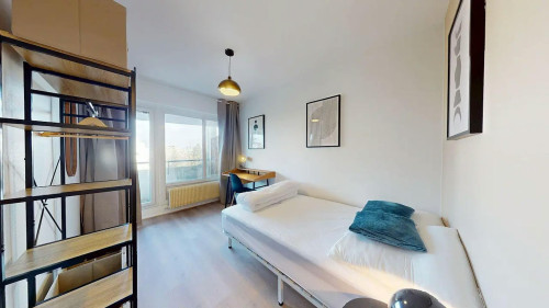 Rue Professeur Patel, Lyon