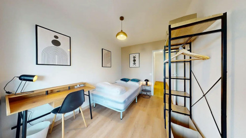 Rue Professeur Patel, Lyon