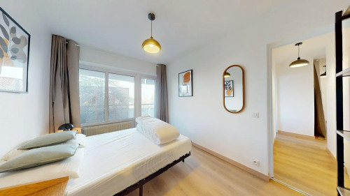 Rue Professeur Patel, Lyon