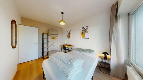 Rue Professeur Patel, Lyon