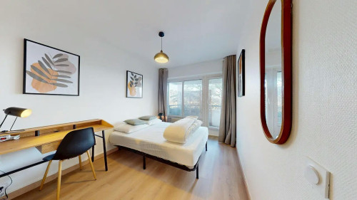 Rue Professeur Patel, Lyon  - Gallery -  5