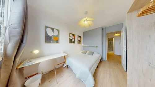 Rue Etienne Richerand, Lyon