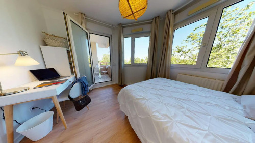 Rue Professeur Beauvisage, Lyon