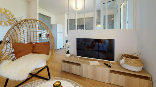 Rue Professeur Beauvisage, Lyon