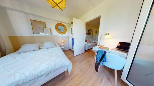 Rue Professeur Beauvisage, Lyon