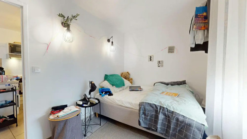 Avenue Rosa Parks, Lyon