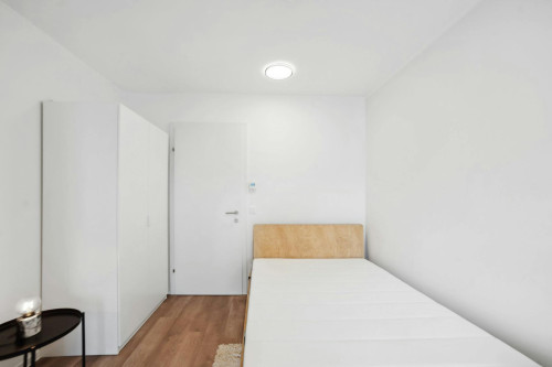 Waagner-Biro-Straße, Graz